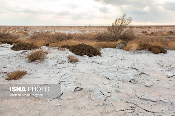 گزارش تصویری | بحران زمین و آب در قلب خراسان