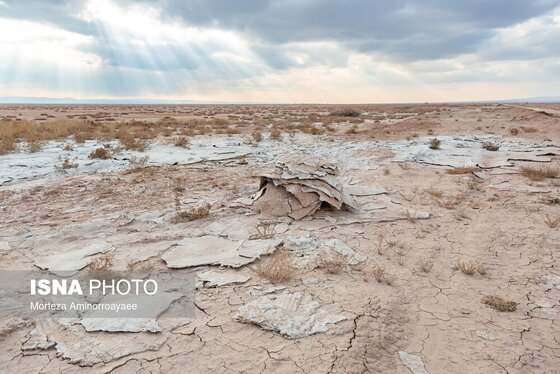گزارش تصویری | بحران زمین و آب در قلب خراسان