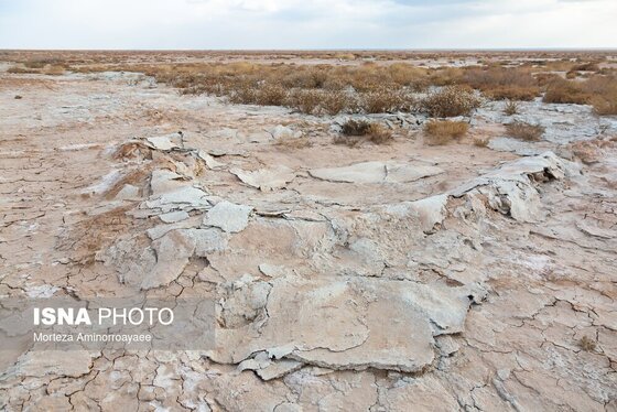 گزارش تصویری | بحران زمین و آب در قلب خراسان