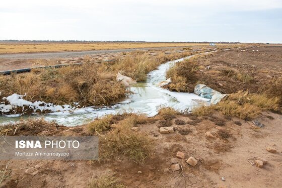 گزارش تصویری | بحران زمین و آب در قلب خراسان