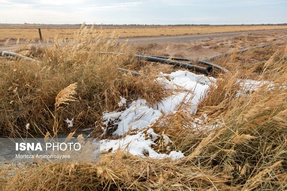 گزارش تصویری | بحران زمین و آب در قلب خراسان