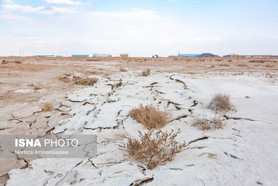 گزارش تصویری | بحران زمین و آب در قلب خراسان