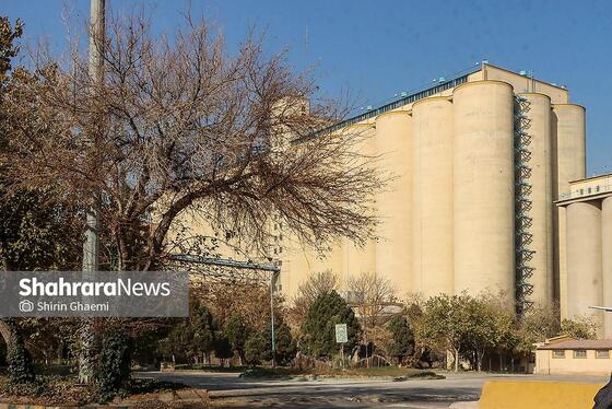 گزارش تصویری | سیلوی گندم مشهد