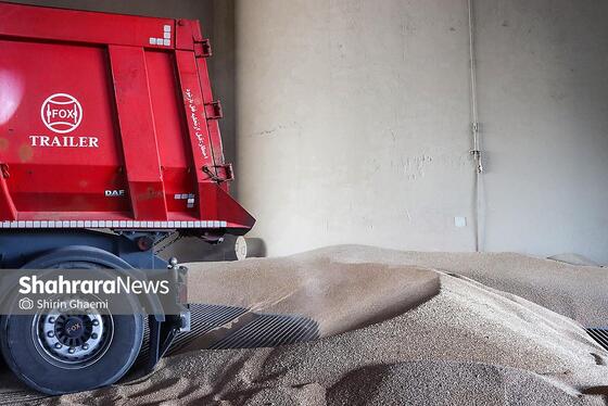 گزارش تصویری | سیلوی گندم مشهد