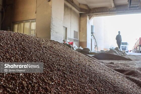 گزارش تصویری | سیلوی گندم مشهد