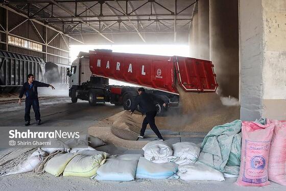 گزارش تصویری | سیلوی گندم مشهد