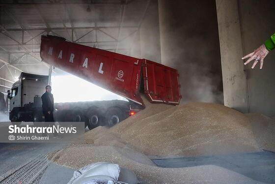 گزارش تصویری | سیلوی گندم مشهد