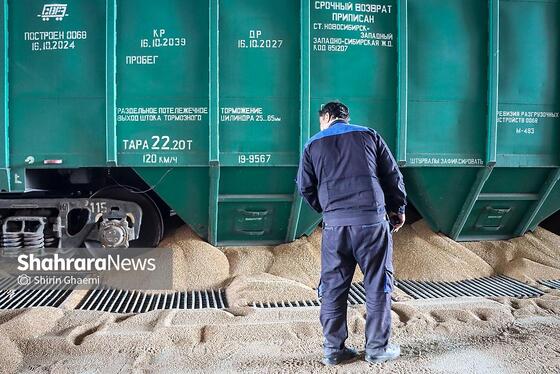 گزارش تصویری | سیلوی گندم مشهد