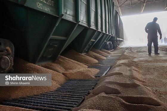 گزارش تصویری | سیلوی گندم مشهد