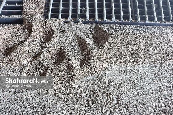 گزارش تصویری | سیلوی گندم مشهد