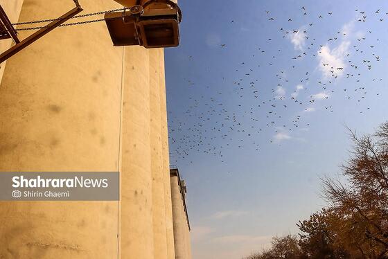 گزارش تصویری | سیلوی گندم مشهد