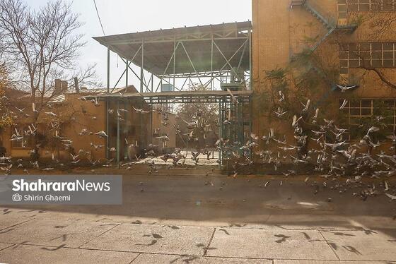 گزارش تصویری | سیلوی گندم مشهد