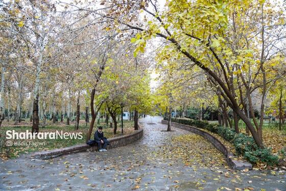 گزارش تصویری | بارش پاییزی باران در مشهد (۱۲ آذر ۱۴۰۴)