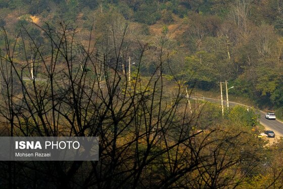 گزارش تصویری | پادشاه فصل‌ها پاییز