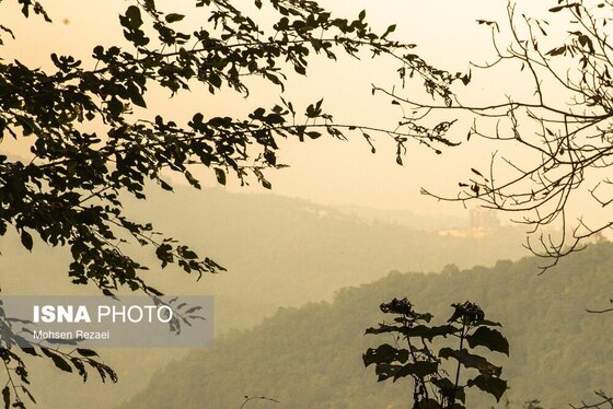 گزارش تصویری | پادشاه فصل‌ها پاییز