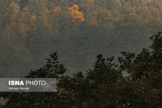 گزارش تصویری | پادشاه فصل‌ها پاییز