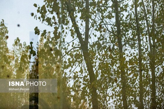 گزارش تصویری | پادشاه فصل‌ها پاییز