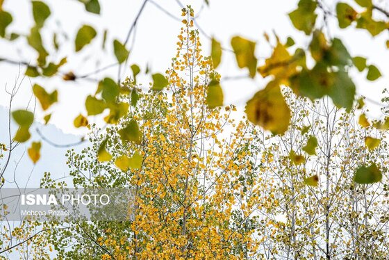 گزارش تصویری | پادشاه فصل‌ها پاییز