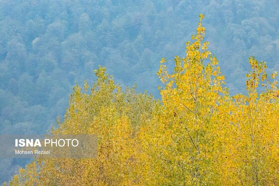 گزارش تصویری | پادشاه فصل‌ها پاییز
