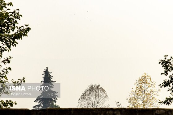 گزارش تصویری | پادشاه فصل‌ها پاییز