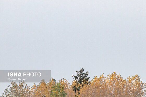 گزارش تصویری | پادشاه فصل‌ها پاییز