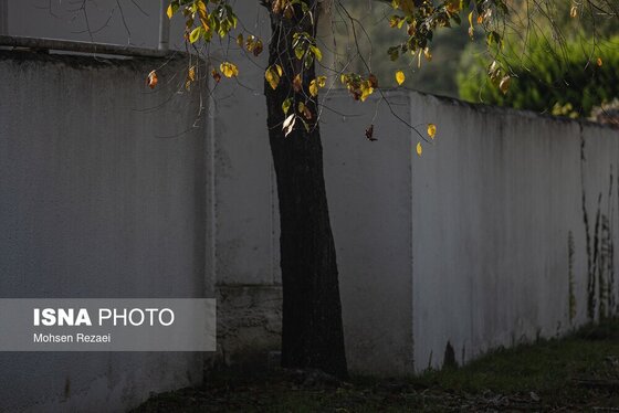 گزارش تصویری | پادشاه فصل‌ها پاییز