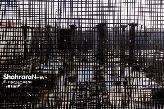 گزارش تصویری | بازدید از آخرین وضعیت پروژه‌های سازمان پارک‌ها و فضای سبز شهرداری مشهد (۱۸ آذر ۱۴۰۴)