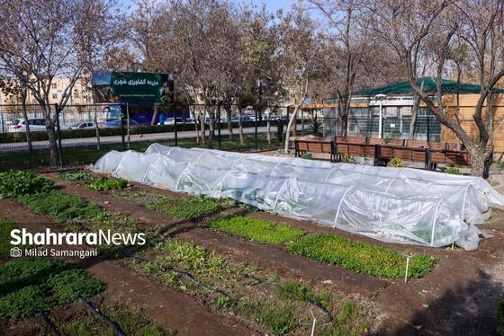 گزارش تصویری | بازدید از آخرین وضعیت پروژه‌های سازمان پارک‌ها و فضای سبز شهرداری مشهد (۱۸ آذر ۱۴۰۴)