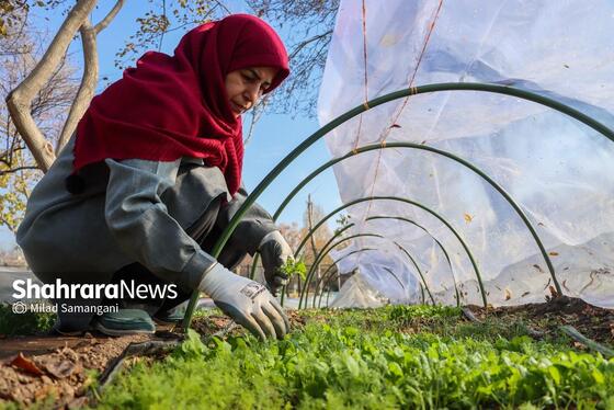 گزارش تصویری | بازدید از آخرین وضعیت پروژه‌های سازمان پارک‌ها و فضای سبز شهرداری مشهد (۱۸ آذر ۱۴۰۴)
