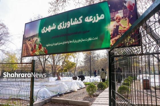 گزارش تصویری | بازدید از آخرین وضعیت پروژه‌های سازمان پارک‌ها و فضای سبز شهرداری مشهد (۱۸ آذر ۱۴۰۴)