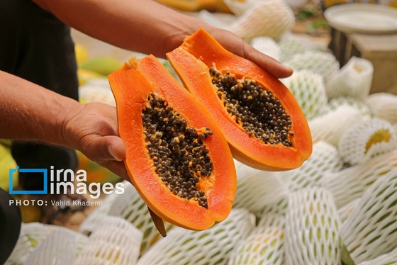 گزارش تصویری | مزرعه «پاپایا»