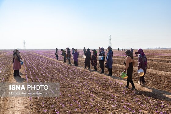ایران زیباست | طلای سرخ نیشابور