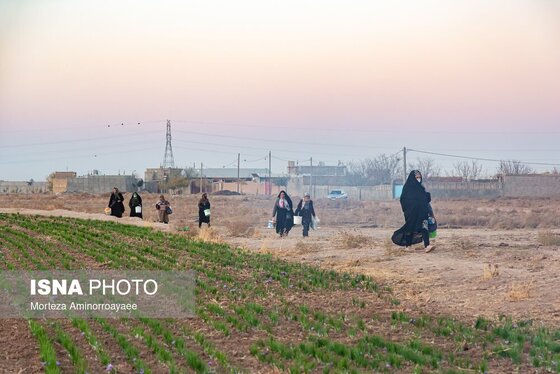 ایران زیباست | طلای سرخ نیشابور
