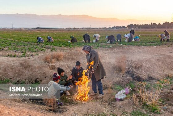 ایران زیباست | طلای سرخ نیشابور