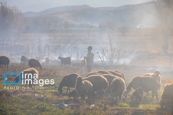 ایران زیباست | طبیعت پاییزی الشتر