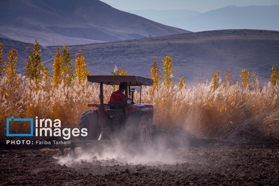 ایران زیباست | طبیعت پاییزی الشتر