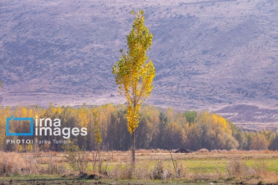 ایران زیباست | طبیعت پاییزی الشتر