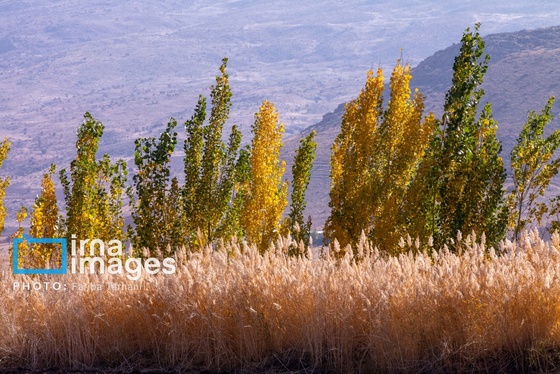 ایران زیباست | طبیعت پاییزی الشتر