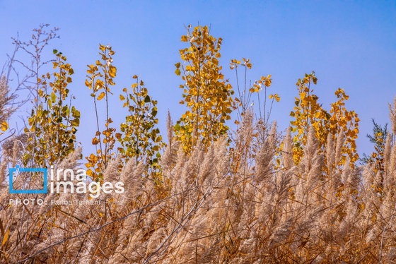 ایران زیباست | طبیعت پاییزی الشتر