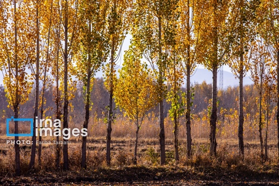 ایران زیباست | طبیعت پاییزی الشتر