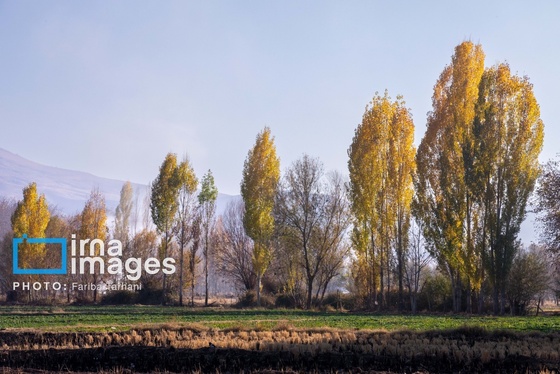 ایران زیباست | طبیعت پاییزی الشتر