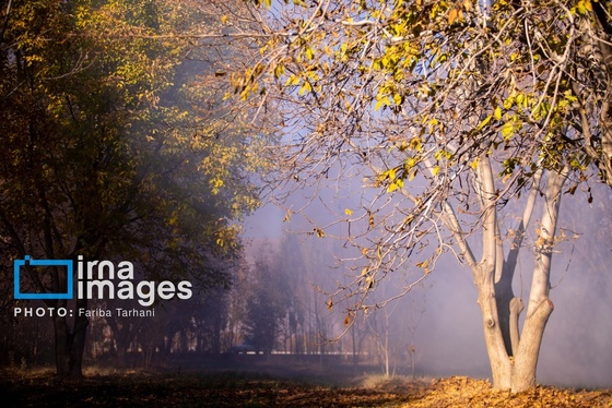 ایران زیباست | طبیعت پاییزی الشتر