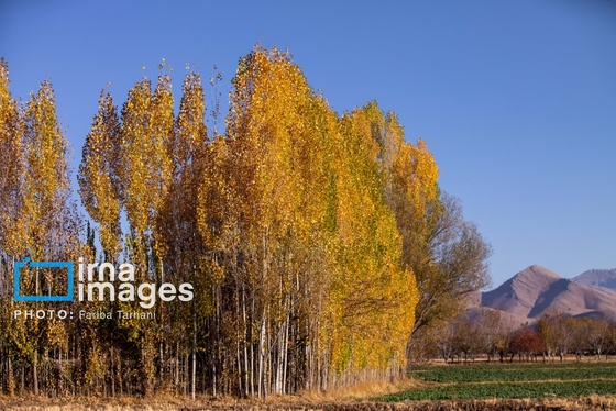 ایران زیباست | طبیعت پاییزی الشتر