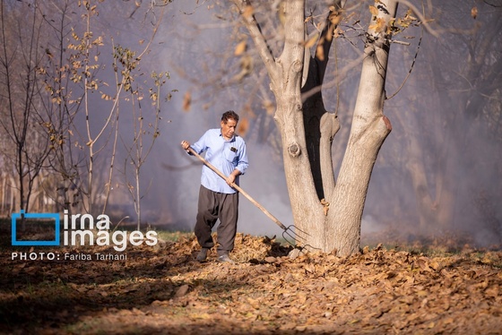 ایران زیباست | طبیعت پاییزی الشتر