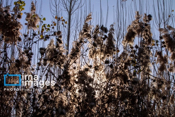 ایران زیباست | طبیعت پاییزی الشتر