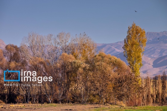 ایران زیباست | طبیعت پاییزی الشتر