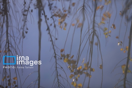 ایران زیباست | طبیعت پاییزی الشتر