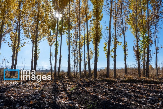 ایران زیباست | طبیعت پاییزی الشتر