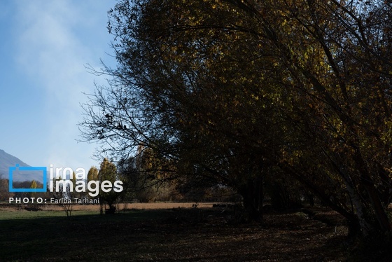 ایران زیباست | طبیعت پاییزی الشتر