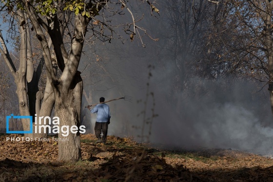 ایران زیباست | طبیعت پاییزی الشتر